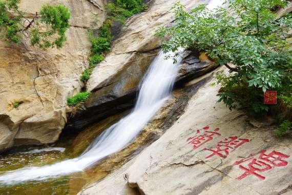 腔尾赣地巨龙！江西发现命名9000多万年前的恐龙新属种